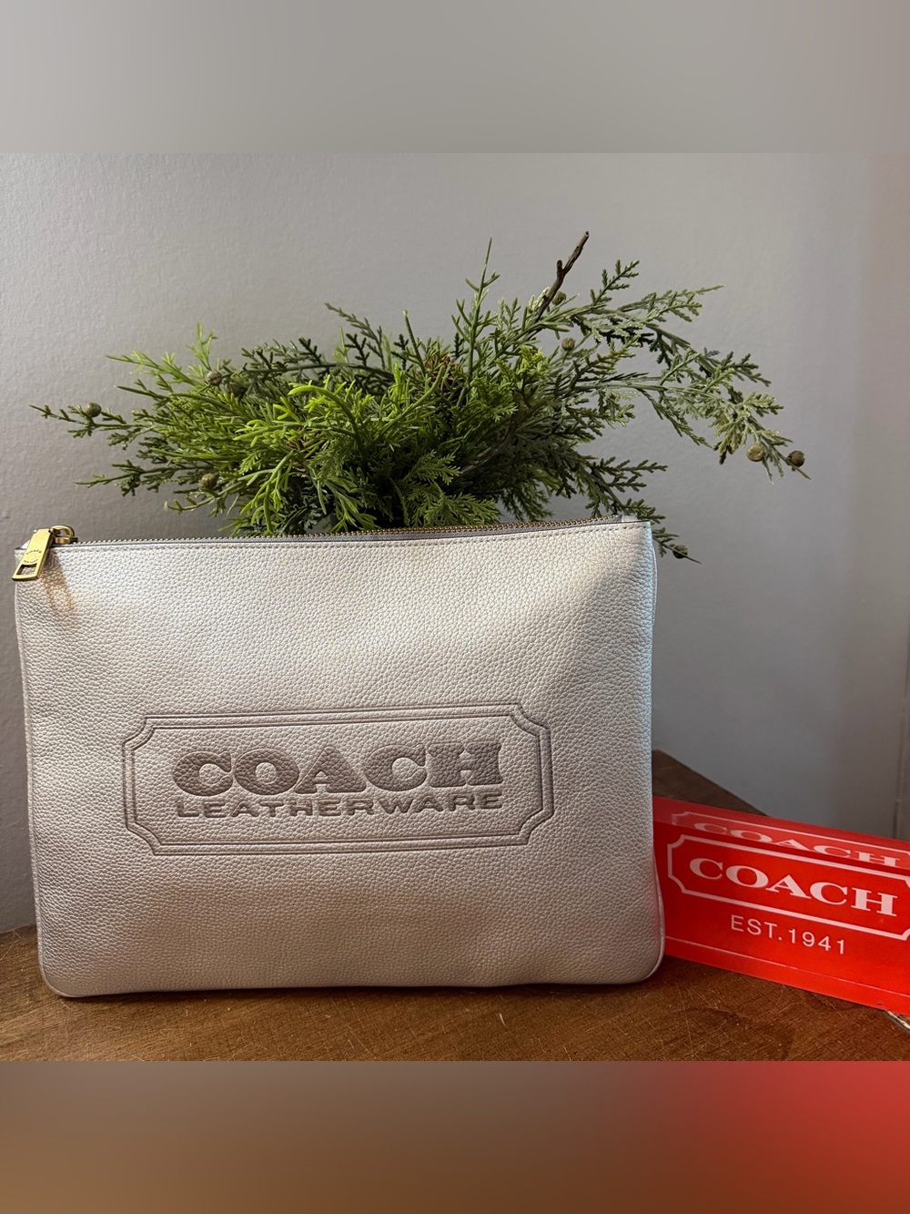 Coach Silver Pouch (NWOT)